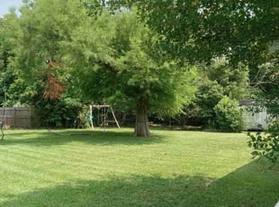 Peter W.'s Lawn Care service result