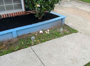 Mulching by Dimas Lopez for Maria B. in Glen Burnie, MD