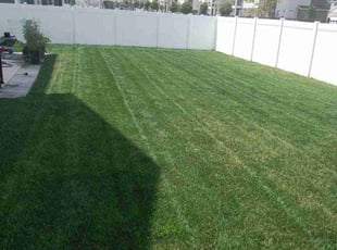 Jacob Y.'s Lawn Mowing service result