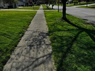 Sherry l.'s Lawn Mowing service result