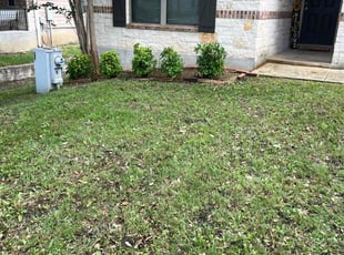 Bush Trimming by Aldo Mancha for Csilla S. in Boerne, TX