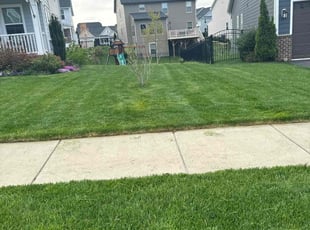 Dwight B.'s Lawn Service service result