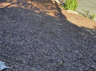 Weeding by Jose Claros for Angela M. in Los Angeles, CA