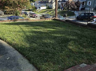 Isaac S.'s Lawn Service service result