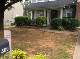 Diane B.'s Bush Trimming service result