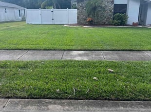 Madeline M.'s Grass Cutting service result