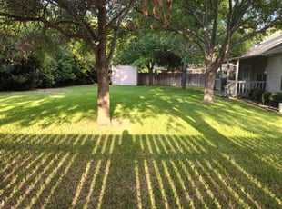 Evan S.'s Lawn Service service result