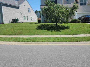 Randy W.'s Lawn Mowing service result
