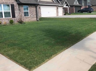 anthony h.'s Lawn Service service result