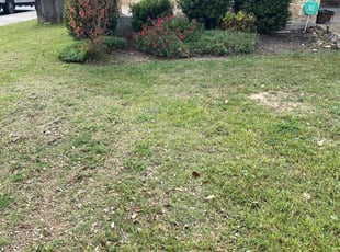Weeding by Bradley Matthiesen for Danielle E. in Boerne, TX