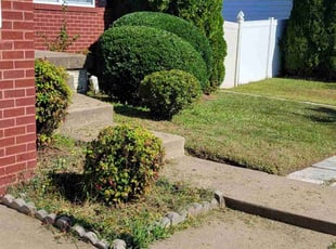 Bush Trimming by Gustavo Martinez for Edwin M. in Woodbridge, VA