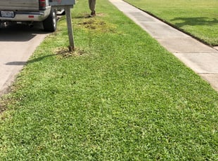 Cleanups by Keith Thompson for Charlene S. in Chalmette, LA