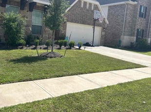 Dorothy E.'s Lawn Mowing service result