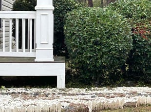 Bush Trimming by Jason Hembree for Mariah H. in Douglasville, GA