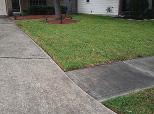 Katherine J.'s Lawn Care service result