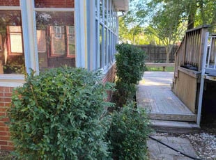 Bush Trimming by Gary Cooper for William A. in Virginia Beach, VA