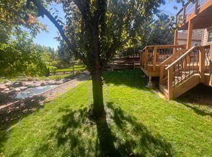 Mark P.'s Lawn Mowing service result