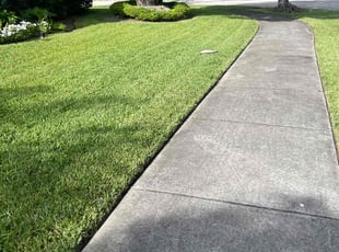 Isabel R.'s Lawn Mowing service result
