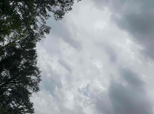 Cleanups by Silas Banks for Jessica F. in Decatur, GA