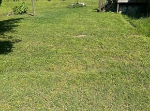 Harrison Z.'s Lawn Service service result