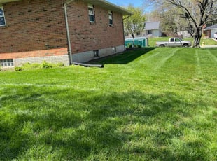 Dwayne M.'s Grass Cutting service result