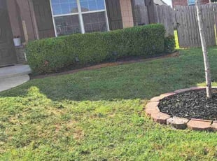 Momen B.'s Lawn Mowing service result