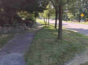 John G.'s Lawn Mowing service result