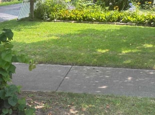 David P.'s Lawn Mowing service result