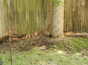 Cleanups by Gary Peterson for Danyelle R. in St. Petersburg, FL
