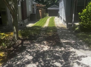 Ken P.'s Lawn Mowing Service service result