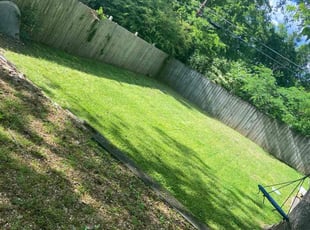 Mariah H.'s Lawn Mowing Service service result
