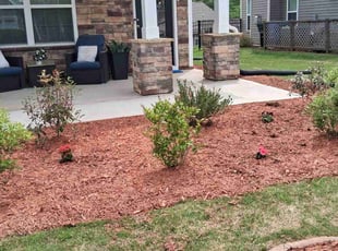 Ahmed E.'s Yard Cutting service result
