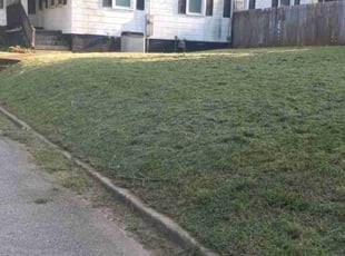 Beth P.'s Grass Cutting service result