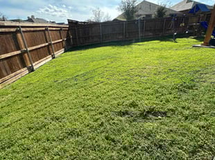 Nella c.'s Lawn Service service result