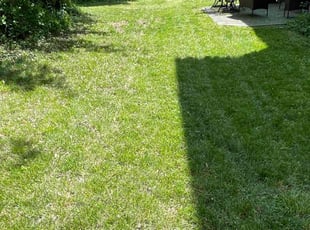 Oganya U.'s Lawn Care service result