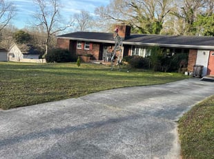 Alicia F.'s Lawn Care service result