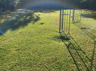 Bri G.'s Lawn Service service result