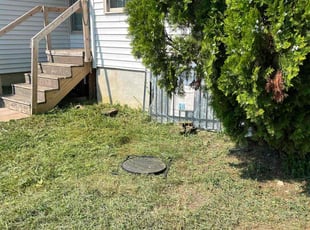 Dennis W.'s Lawn Mowing service result