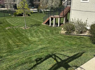 Zawadi T.'s Lawn Maintenance service result