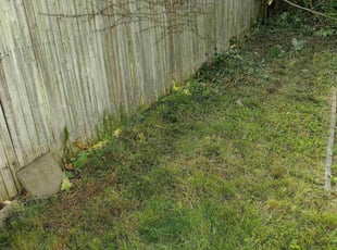 Cleanups by Matthew Spinelli for Pamela H. in Bridgeport, CT