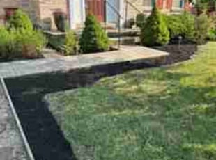 Jeremy D.'s Yard Cutting service result