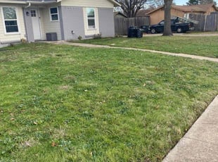 Cleanups by Rodolfo Labrada for Norma R. in Allen, TX