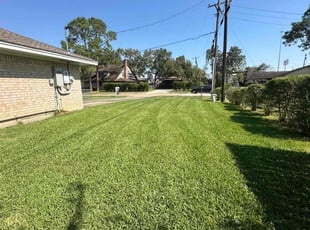 Alicia P.'s Lawn Care service result