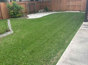 Kristen M.'s Yard Cutting service result