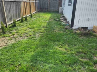 Michael S.'s Lawn Service service result