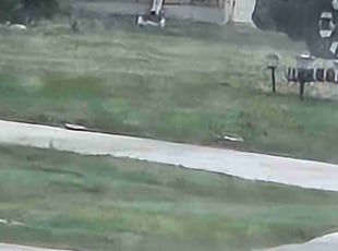 Aeration by Rodney Warren for Sheebarani M. in Fort Worth, TX