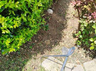 Erica B.'s Flower Bed Weeding service result