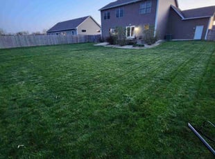 Peter N.'s Lawn Mowing Service service result