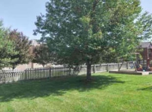 Remillo D.'s Yard Cutting service result