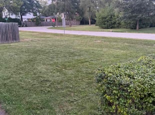 Tran T.'s Lawn Care service result